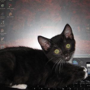 Meet your Posher, Linda